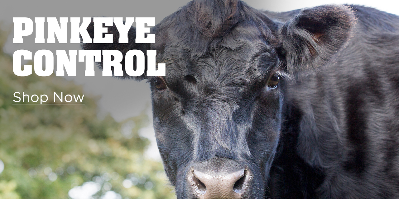 Pinkeye Control